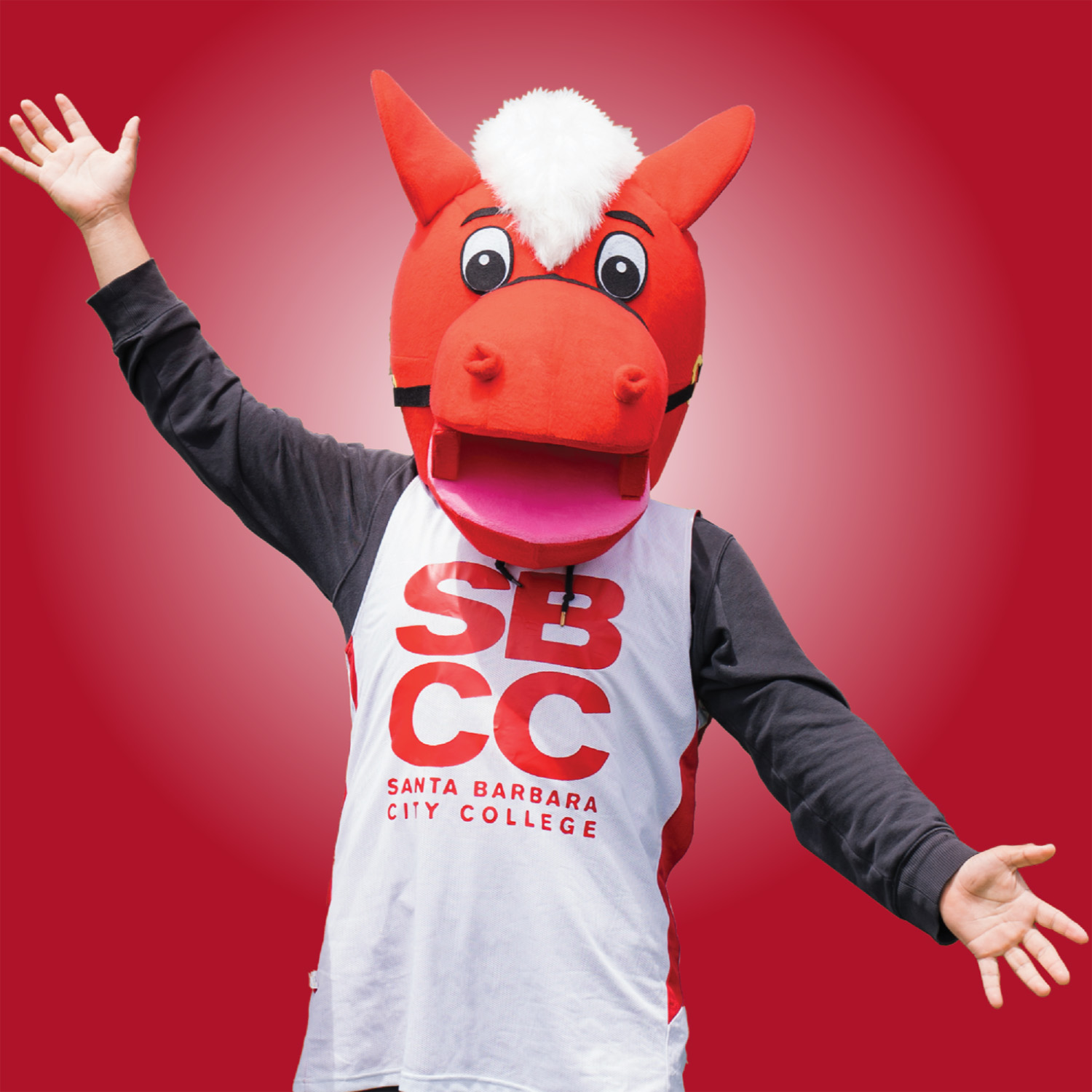 Placeholder image of Red for Argelia