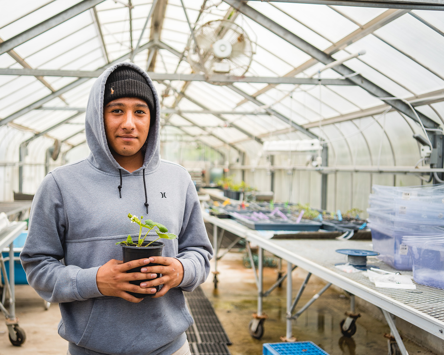 Environmental Horticulture student